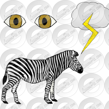 Zebras see Picture