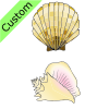 Two+shells Picture