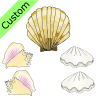 Five+shells Picture
