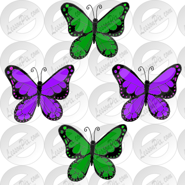 Four butterflies Picture