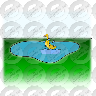 Duck in Pond Picture