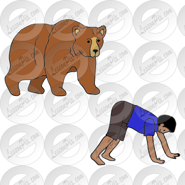 Bear Crawl Picture