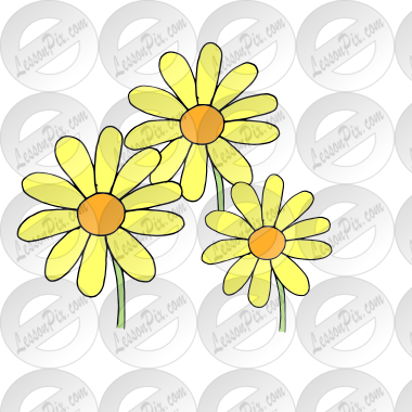 a few flowers