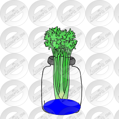 celery in jar Picture