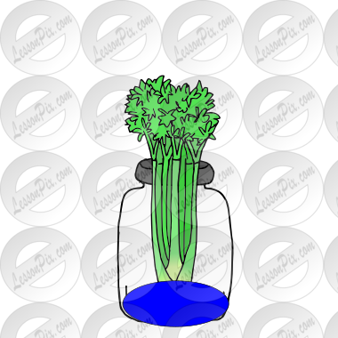 celery in jar