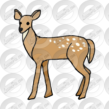 doe Picture for Classroom / Therapy Use - Great doe Clipart