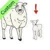 baby sheep