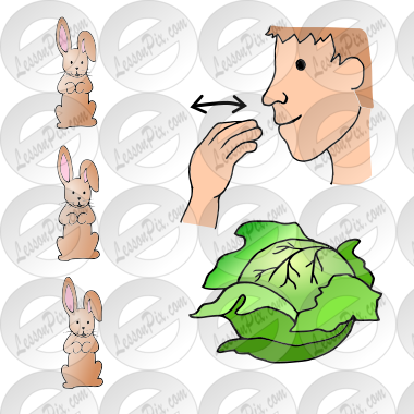 Three bunnies eat the lettuce.  Picture